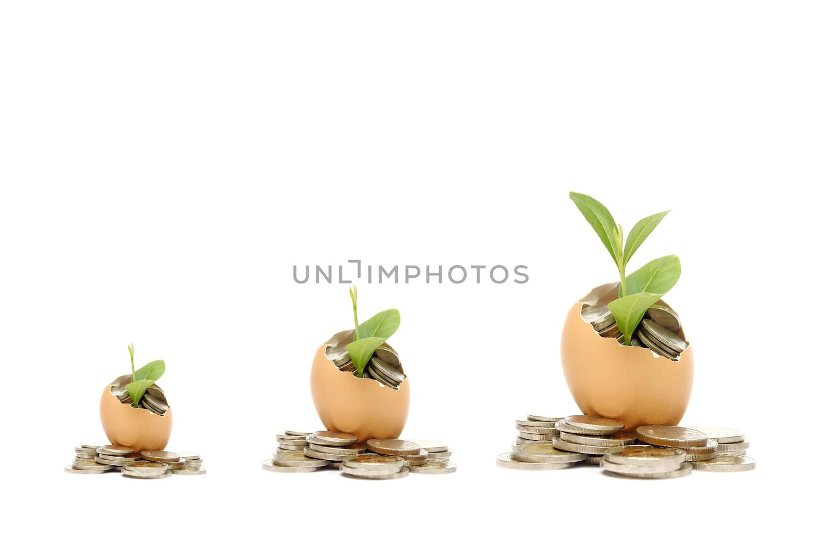 Money tree growing from the coins inside egg by molly70photo