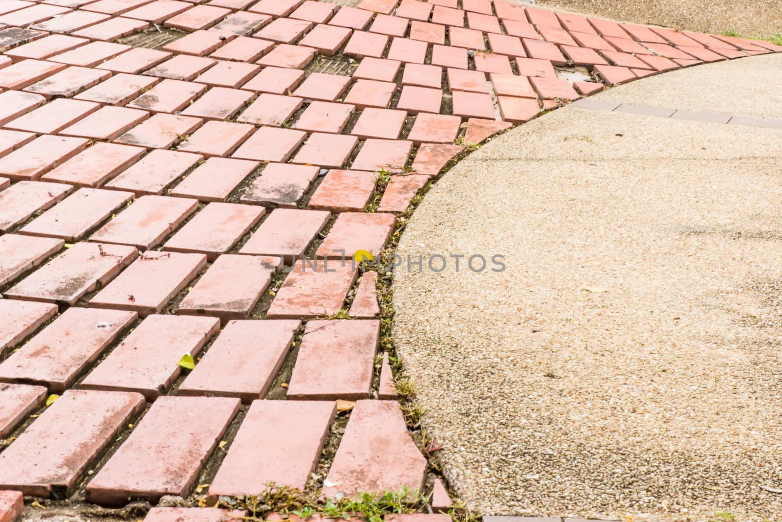 Sidewalk Curving walk  from  Paving Stones and wood walls garden