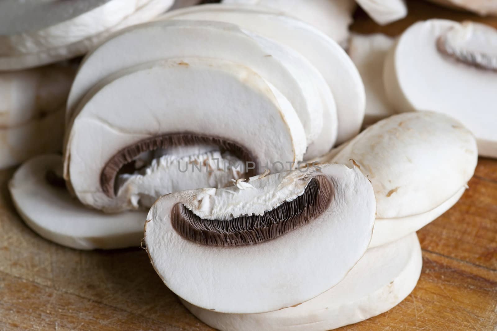 Detail of the edible mushroom - button mushroom - champignon