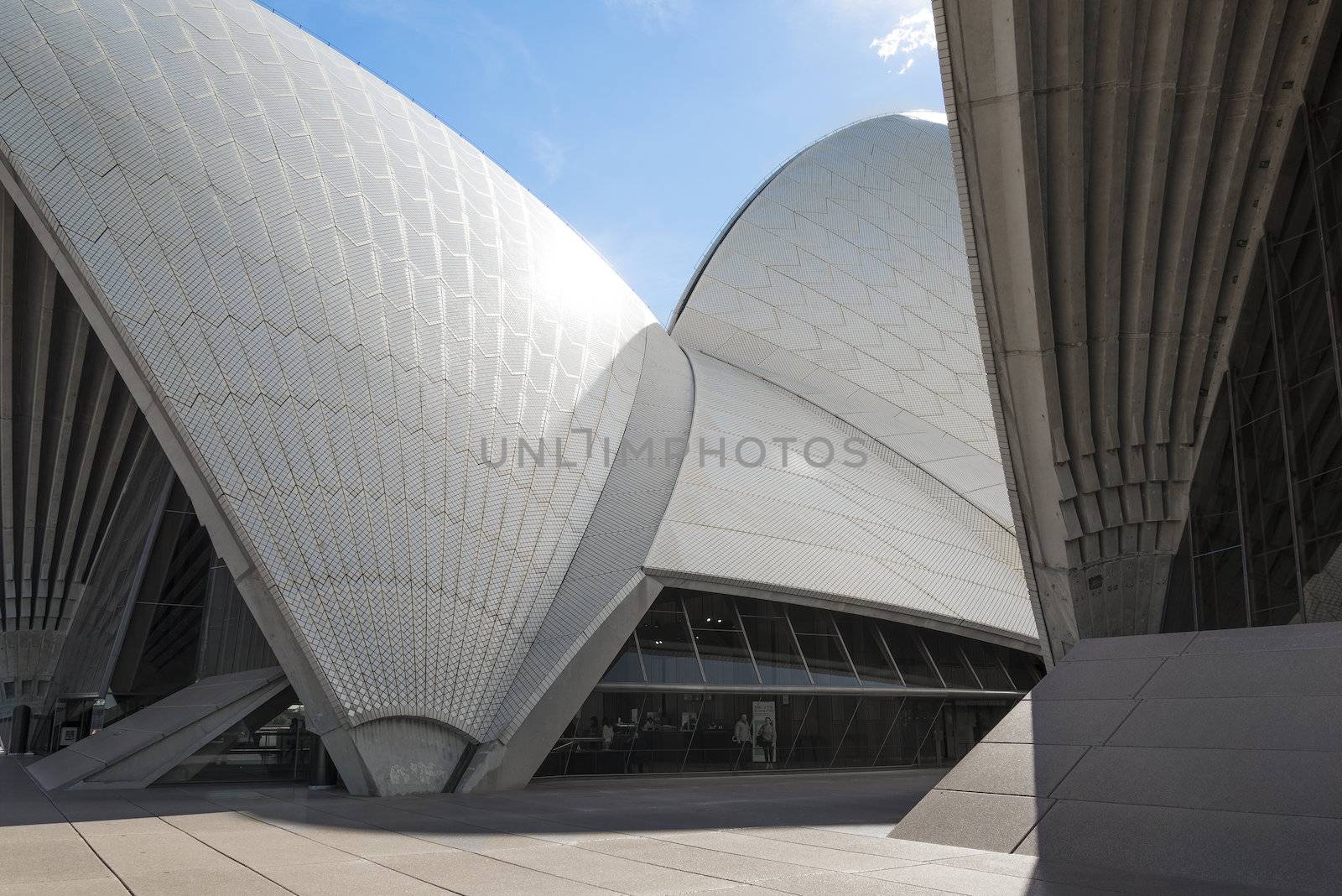 sydney opera house detail in australia  by jackmalipan