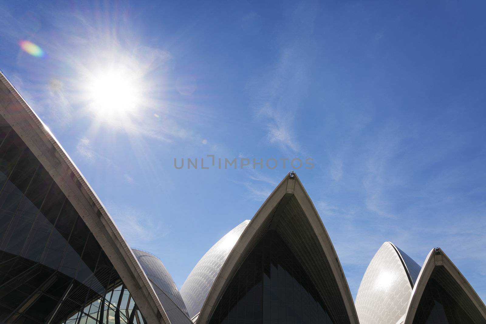 sydney opera house detail in australia  by jackmalipan