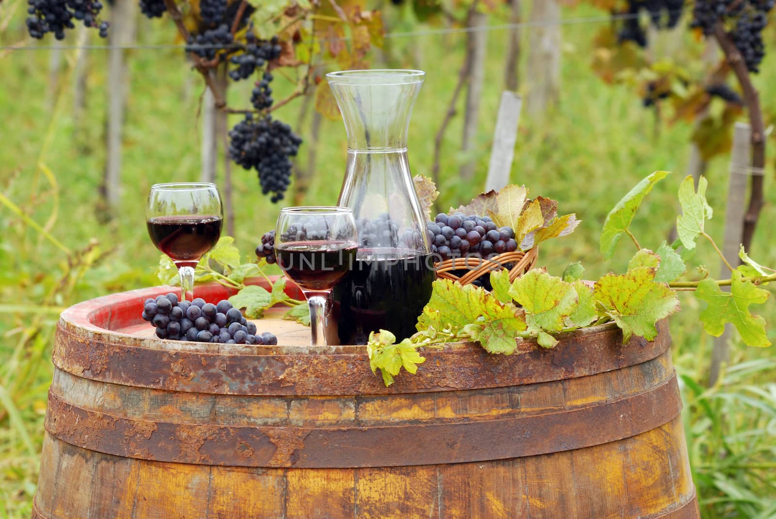 glasses and bottle with red wine in vineyard