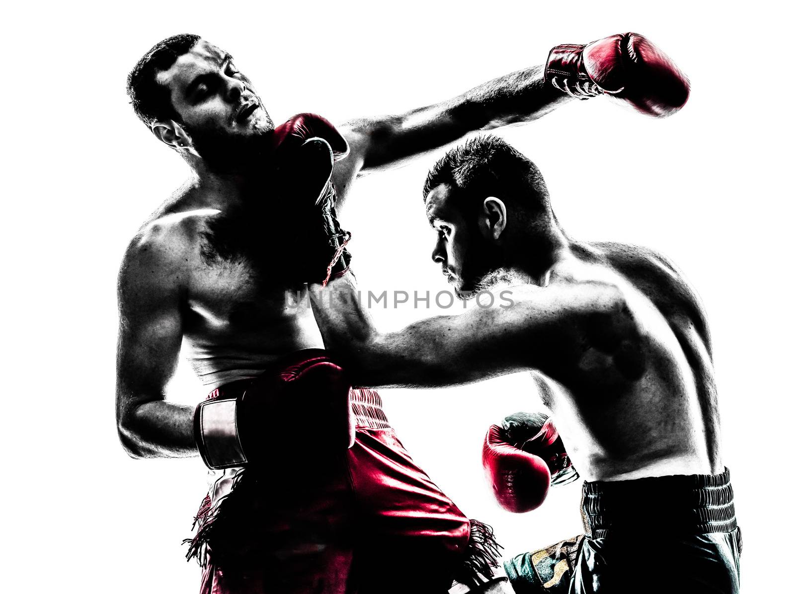 two caucasian  men exercising thai boxing in silhouette studio  on white background