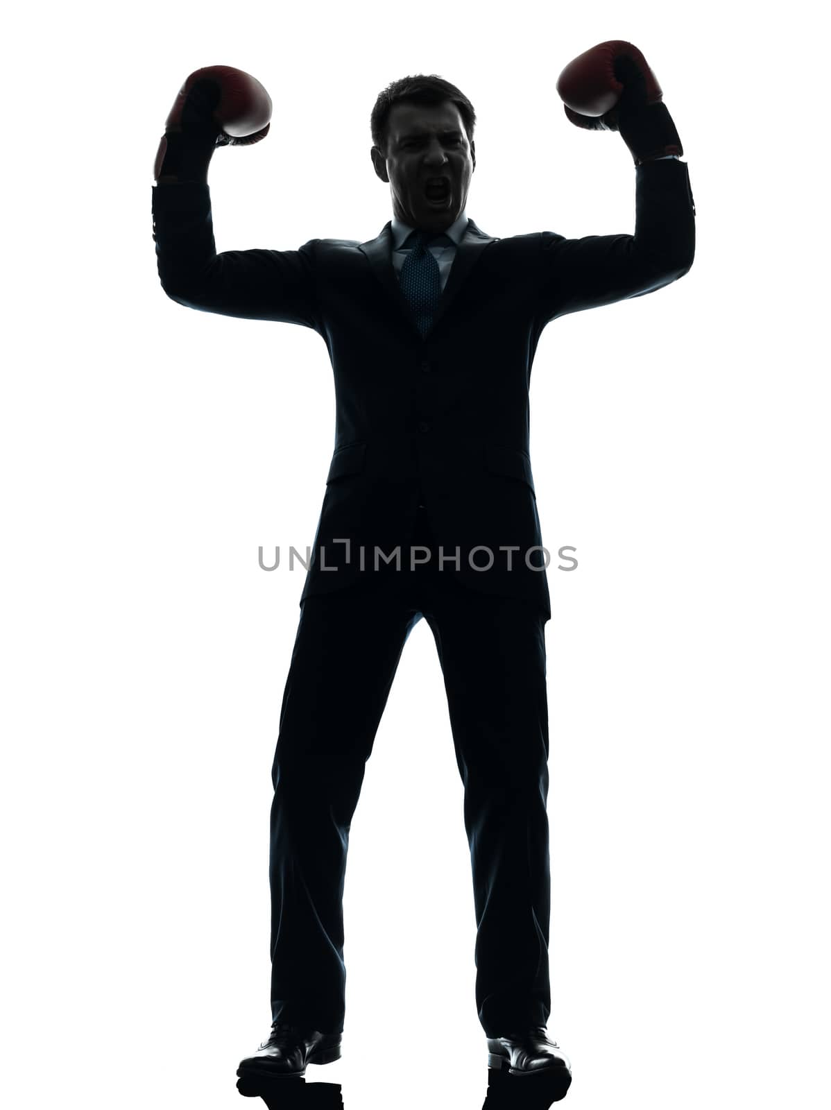 one caucasian businessman with boxing gloves   in silhouette studio isolated on white background