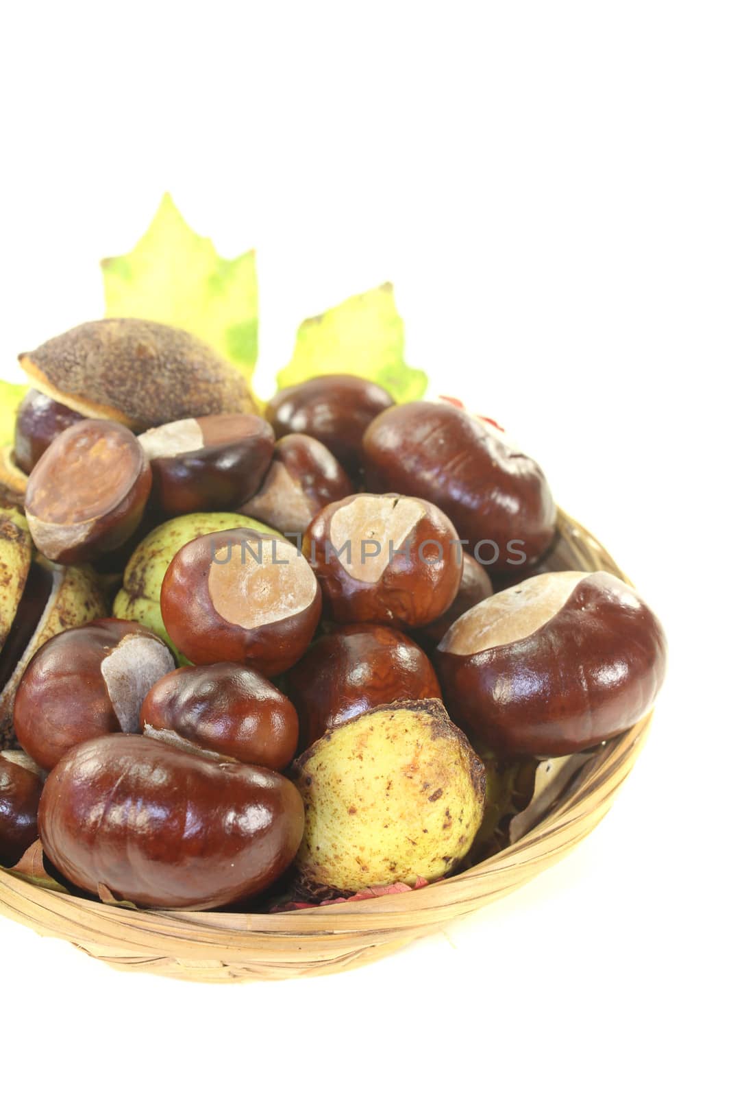brown horse chestnuts in a basket on a bright background