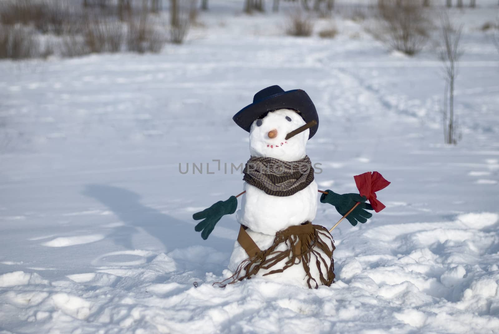 snowman by Nickolya