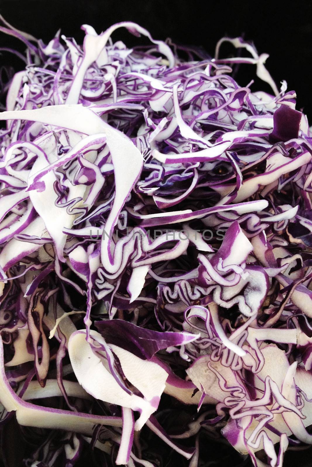 red cabbage by ponsulak