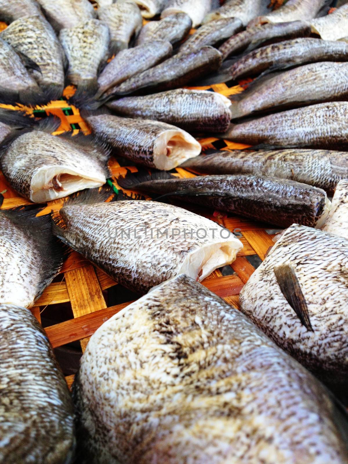 drying snakeskin gourami fishes by ponsulak