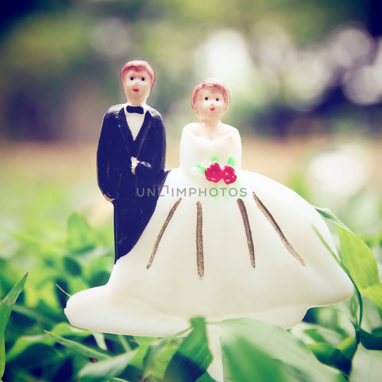 wedding couple doll on leaves ground with retro filter effect
