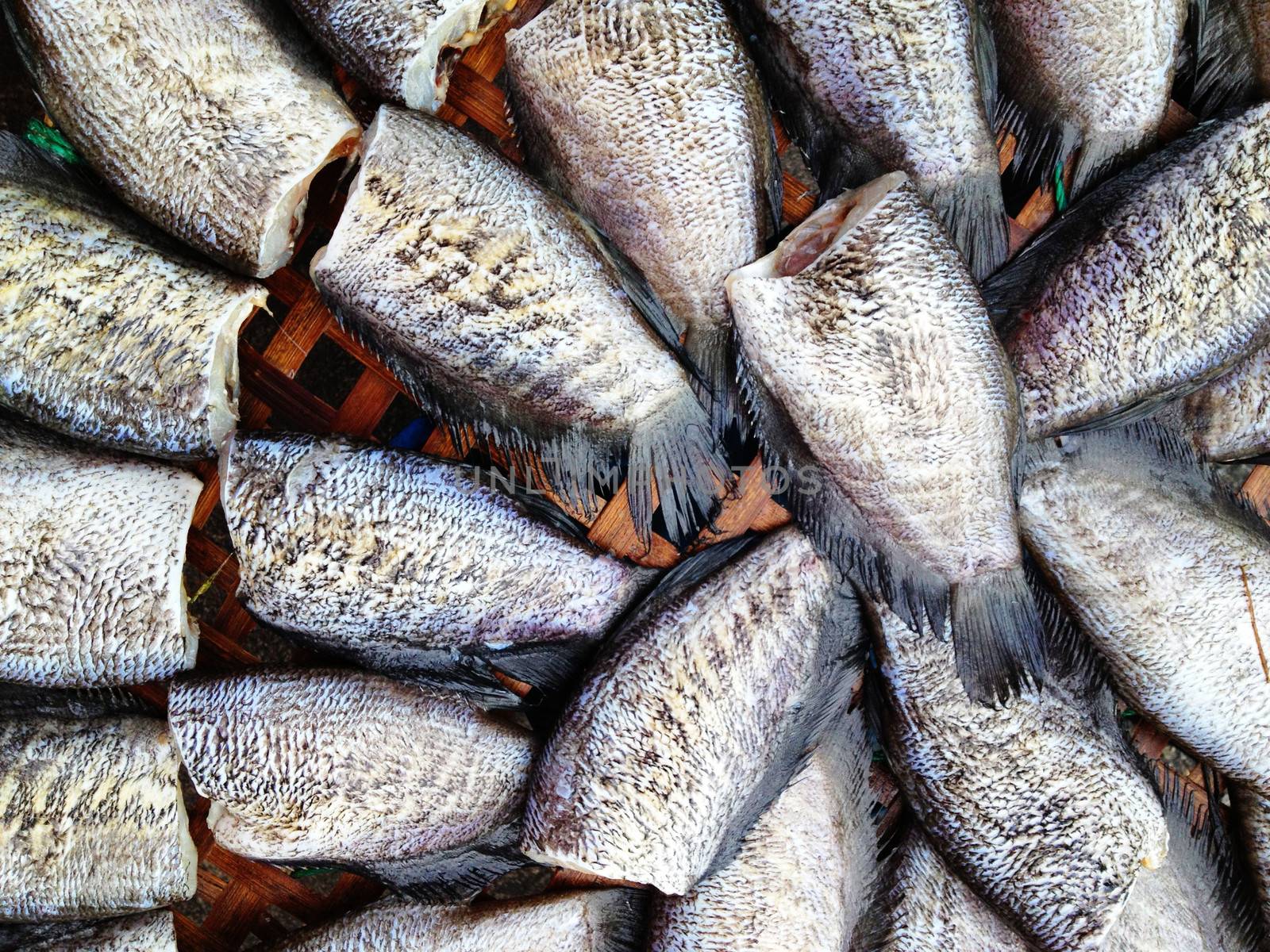 drying snakeskin gourami fishes