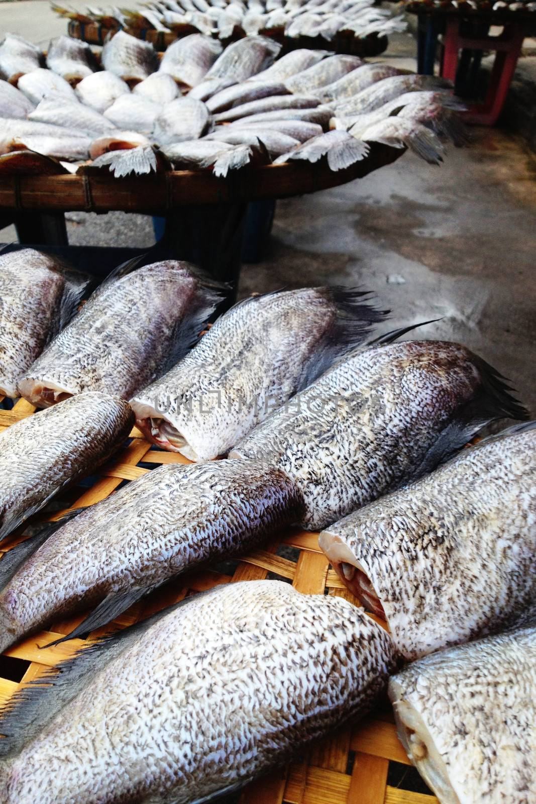 drying snakeskin gourami fishes in local market, Thailand