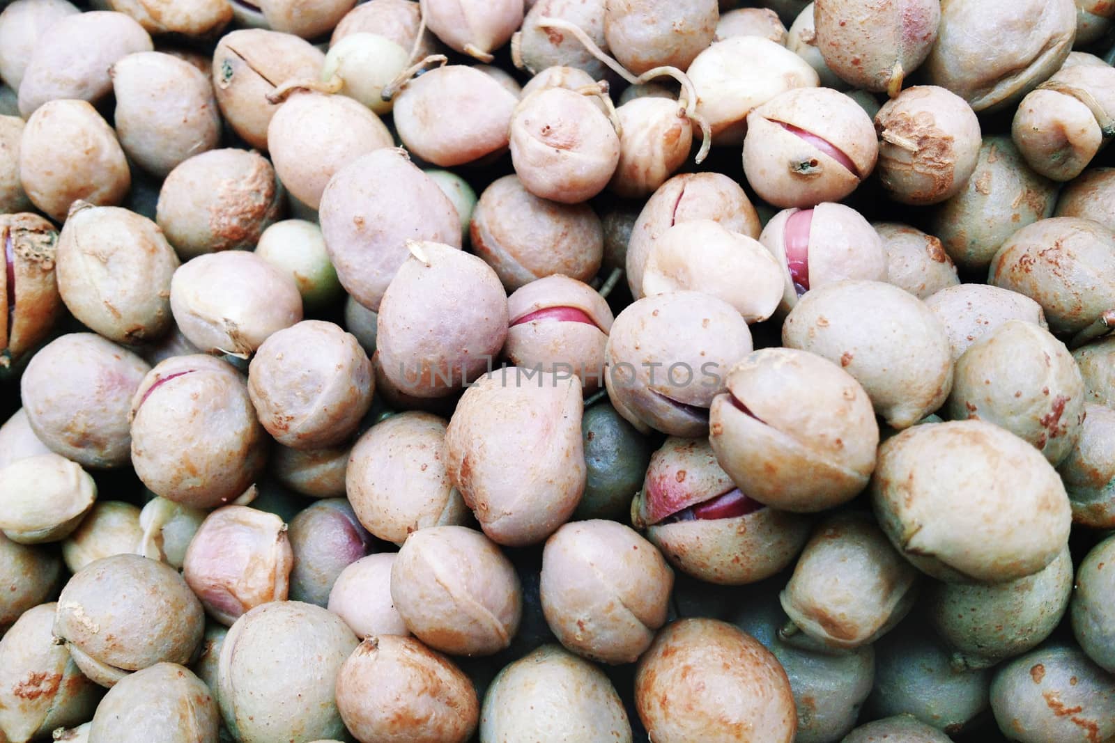 Boiled Bambara Groundnut, a kind of Thai sweetmeat, is a popular form of street food in Thailand
