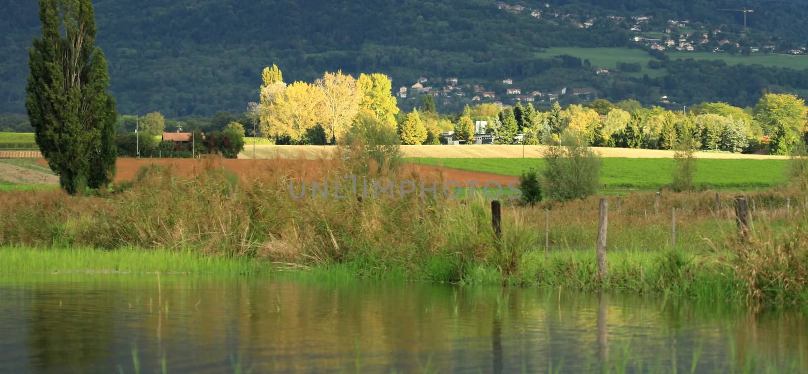 Geneva countryside by sunset with tree and pond, Switzerland