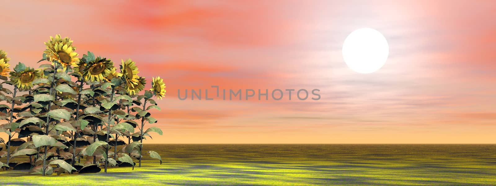 Sunflowers by sunset - 3D render by Elenaphotos21