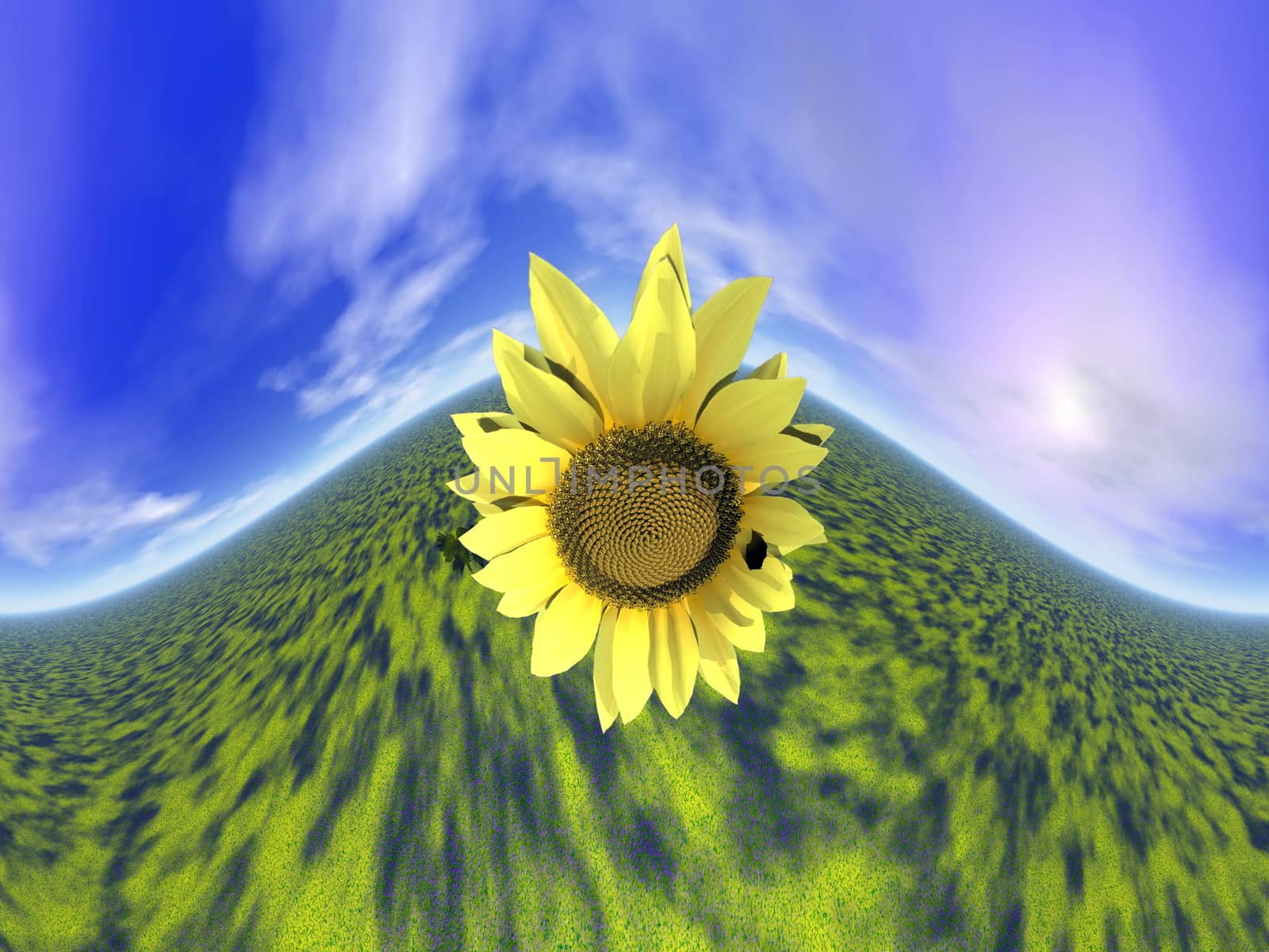 Sunflower and sky - 3D render by Elenaphotos21