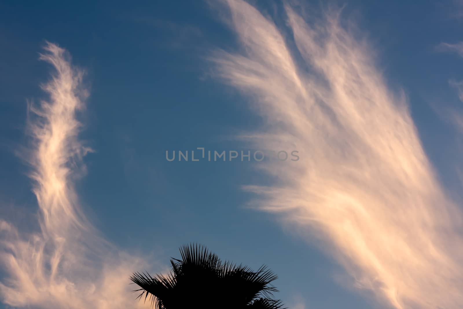 This is an image of cirrus clouds moving over Tampa, Florida. Cirrus clouds are wispy, feathery strands of ice crystals. These clouds are also known as mare's tails.