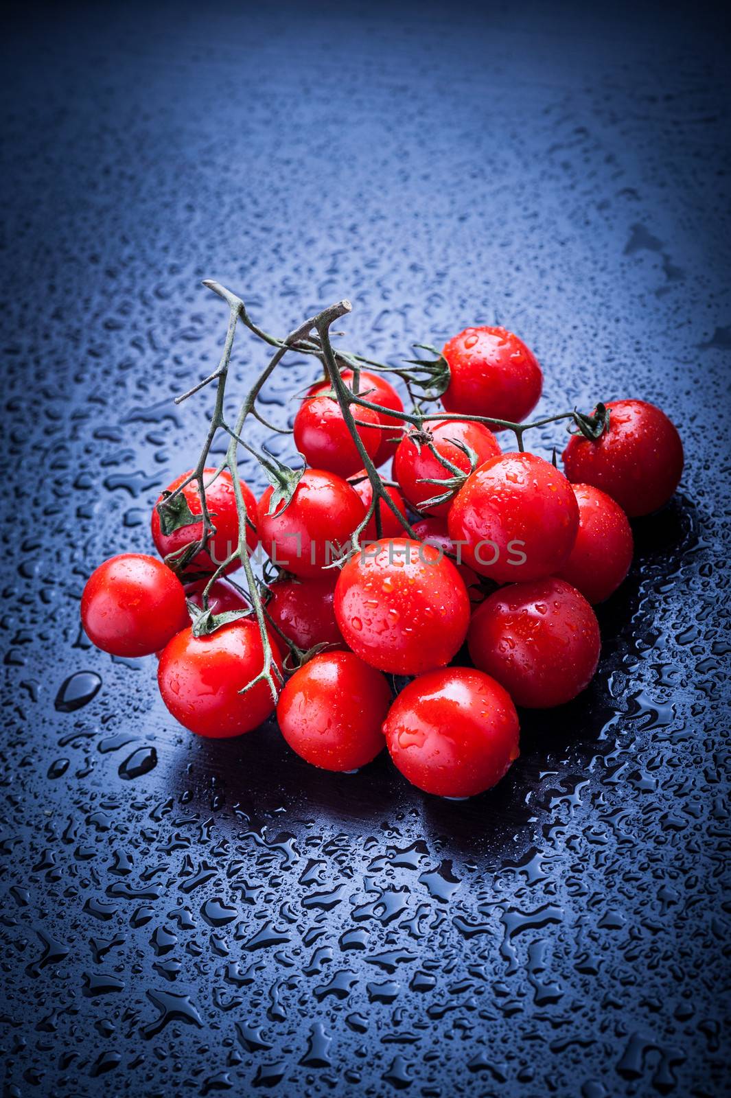 Cherry tomatoes after rain on blue