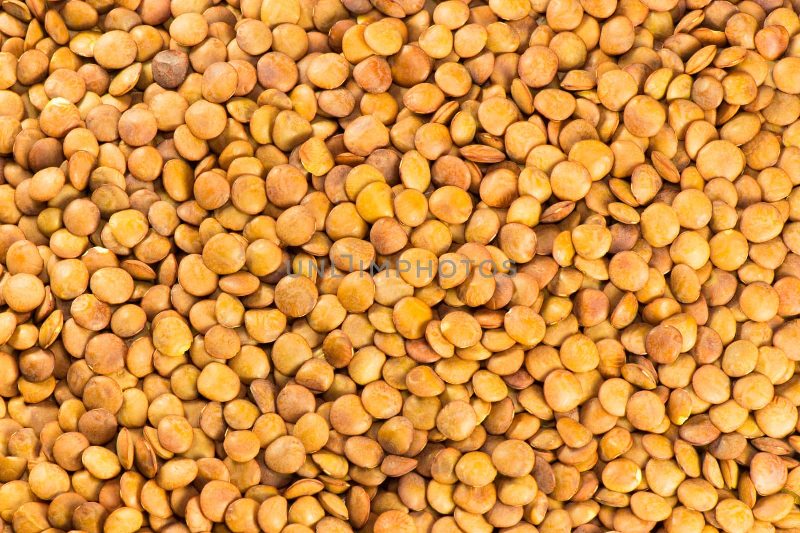 Dry lentils by only4denn