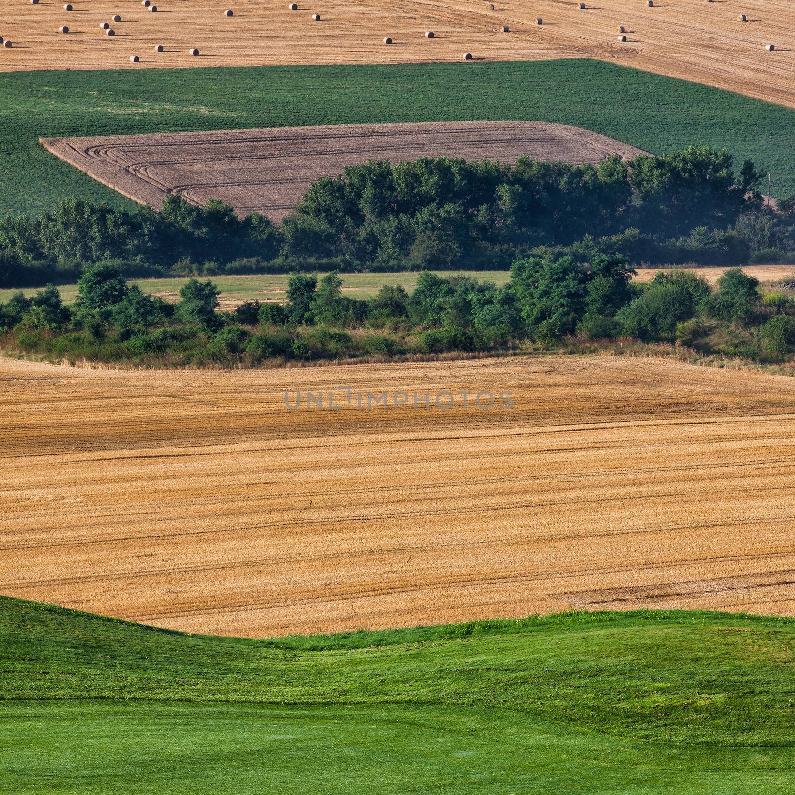 Cultivated fields next to a golf course by CaptureLight