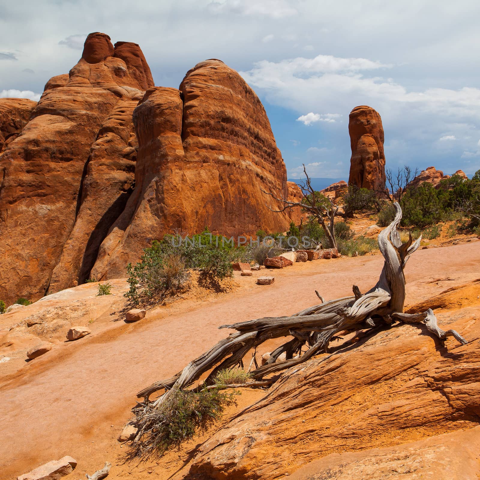 Beautiful rock formations in Arches National Park, Utah, USA by CaptureLight