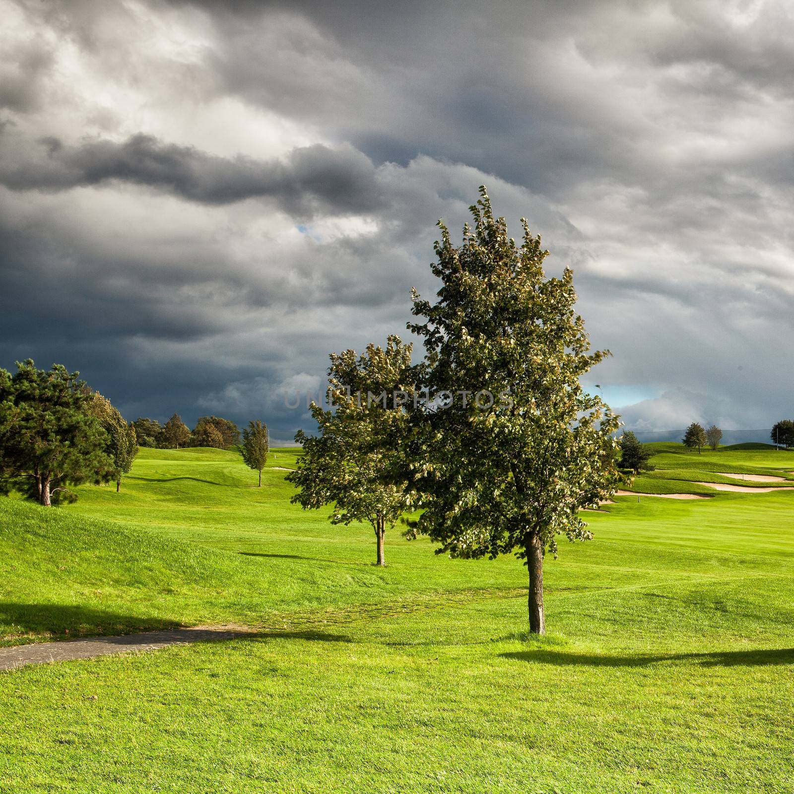 Summer golf course after storm