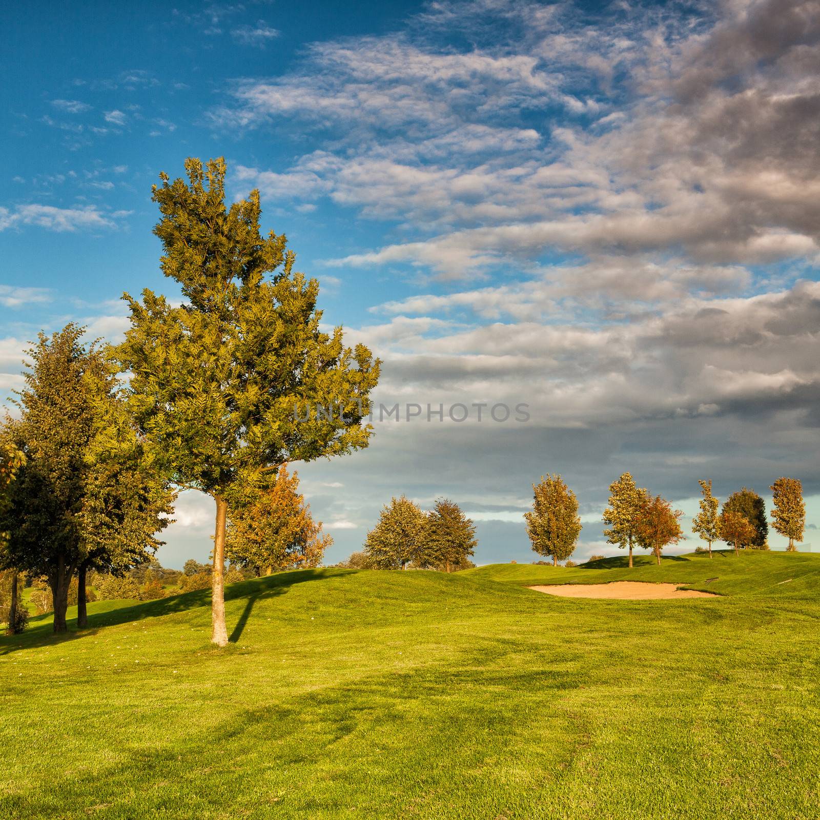 Summer golf course at sunset by CaptureLight