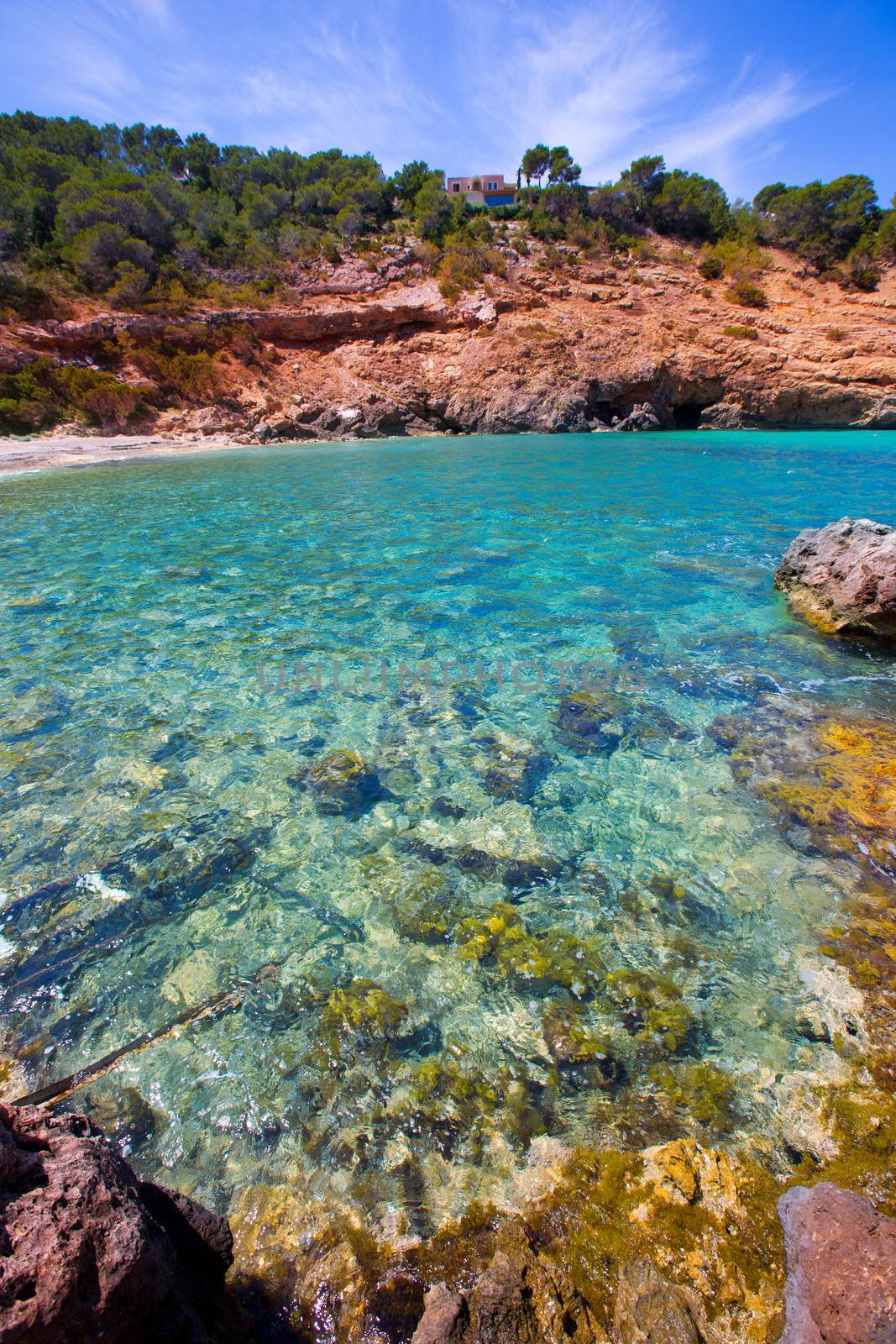 Ibiza Cala Moli beach with clear water in Balearics by lunamarina