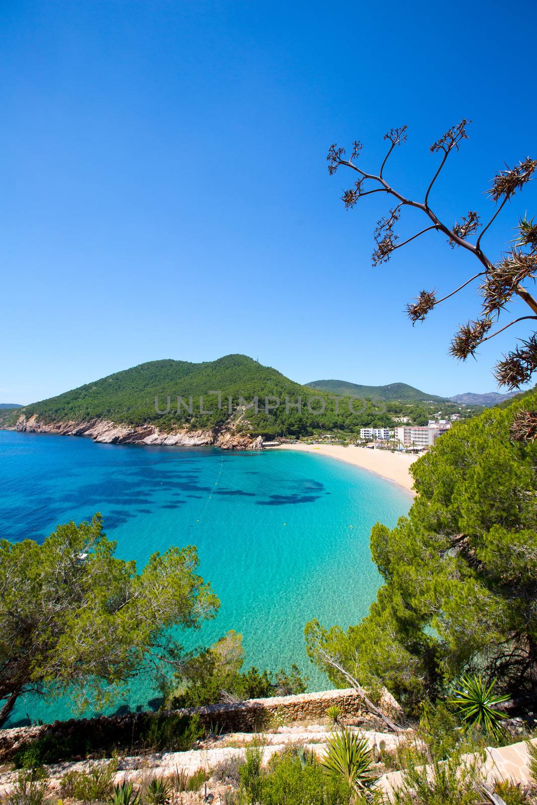 Ibiza caleta de Sant Vicent cala San vicente san Juan by lunamarina