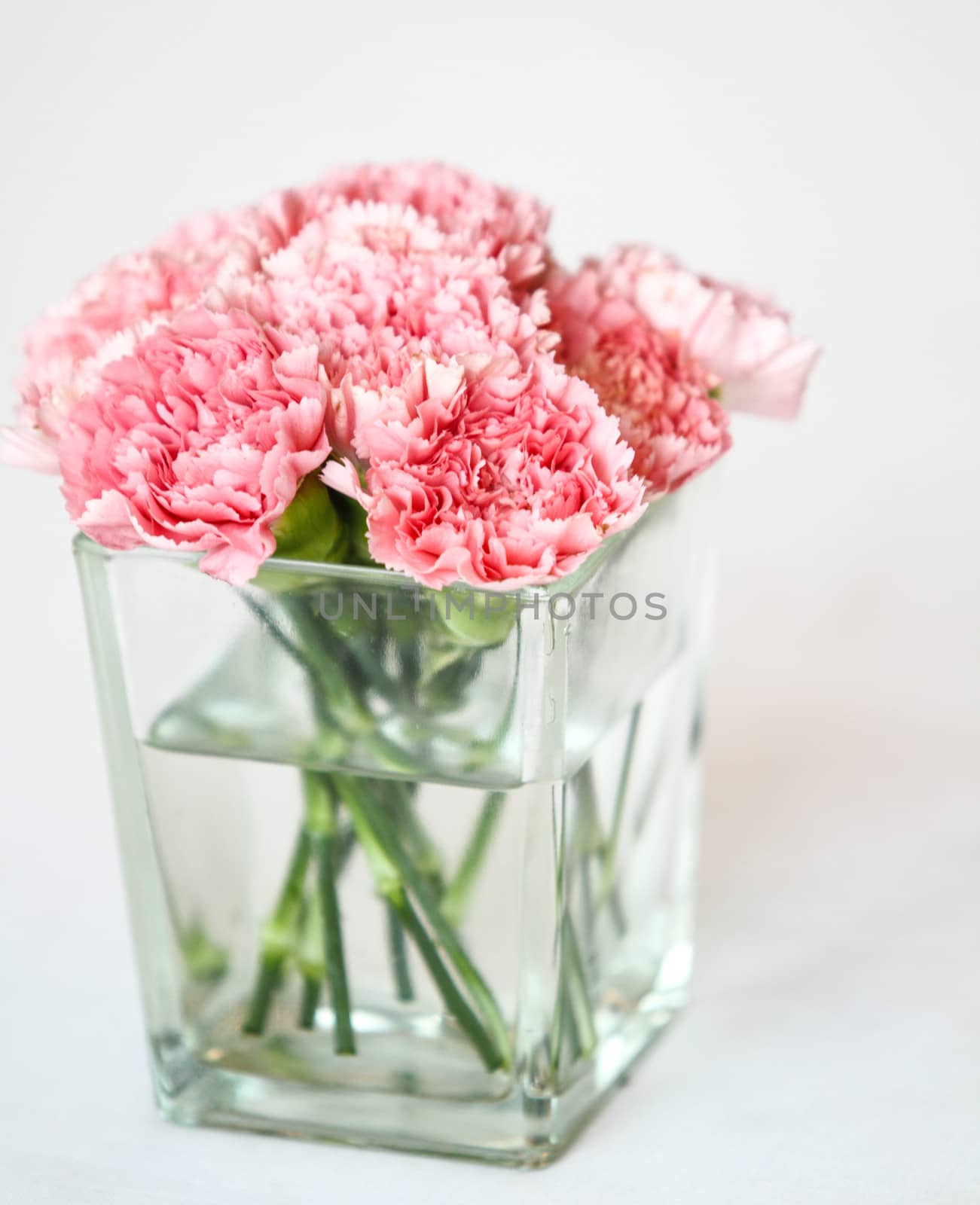 Bouquet of carnation flowers in glass vase