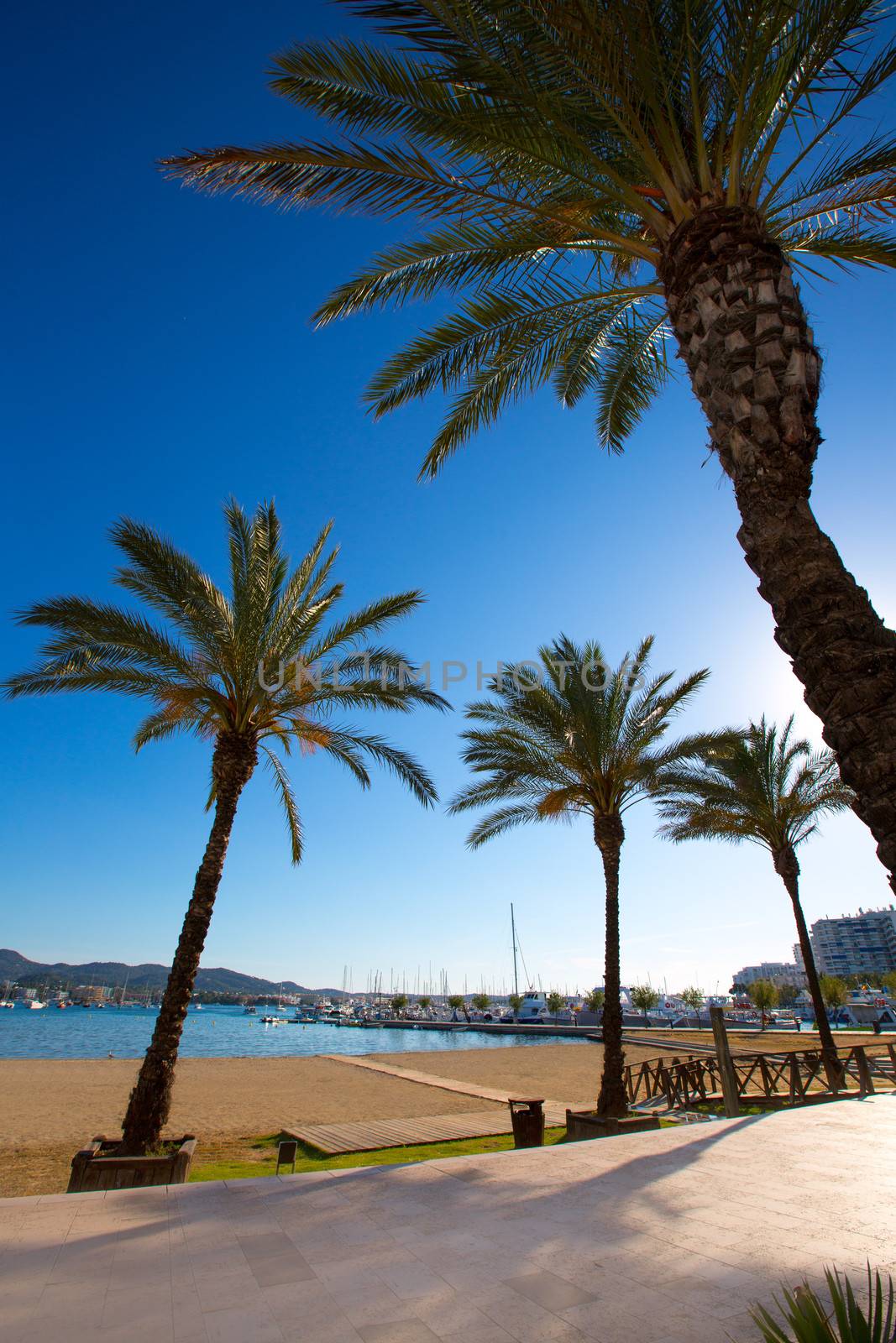 Ibiza san Antonio Abad de Portmany beach in Balearic by lunamarina