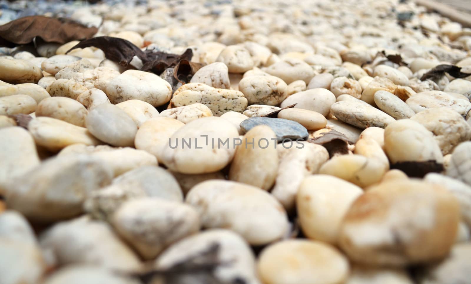 Many white stones on the ground.