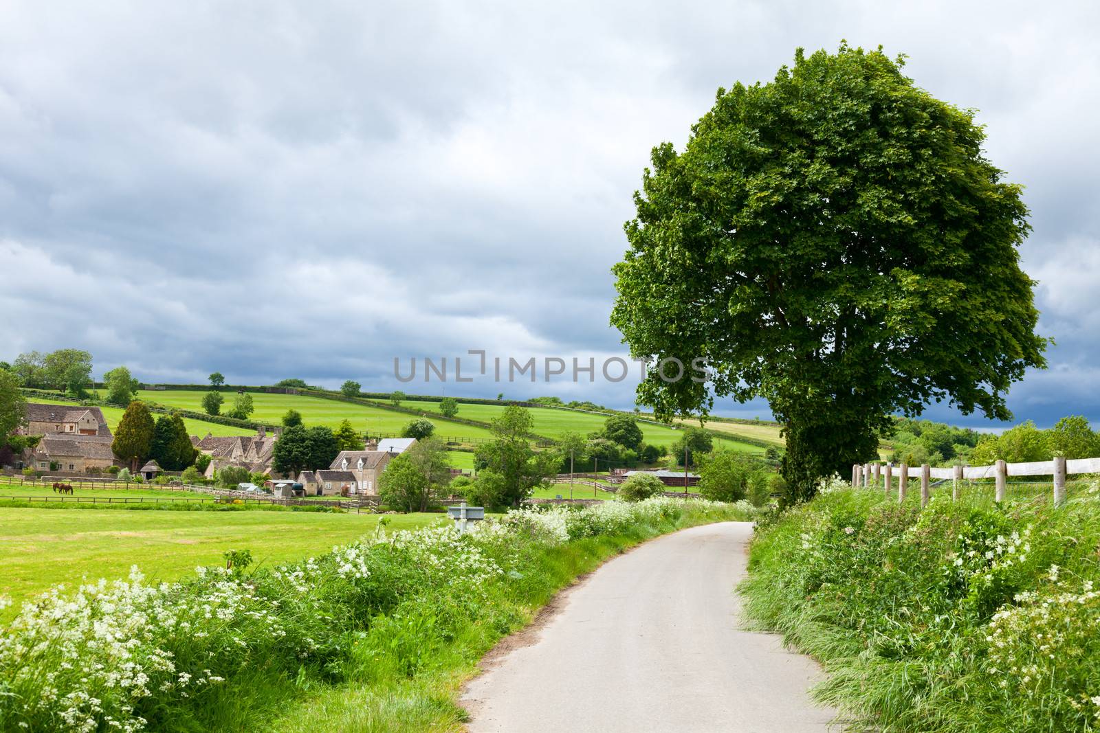 English summer landscape by naumoid