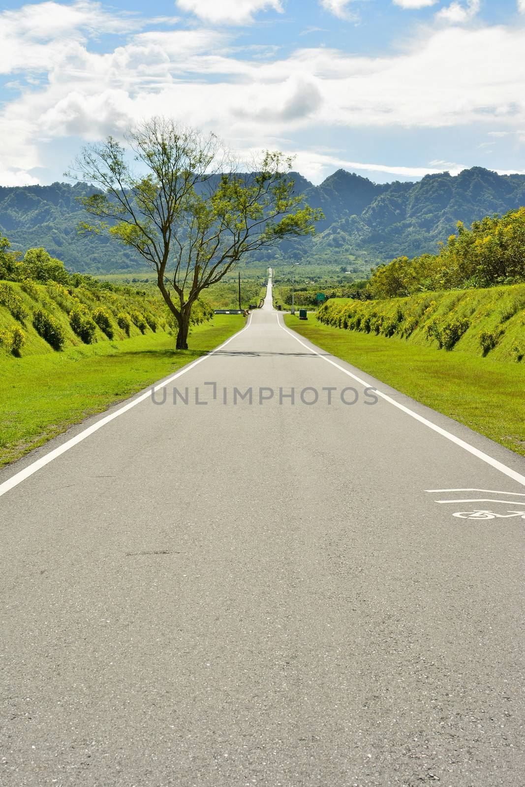 Rural landscape with road by elwynn