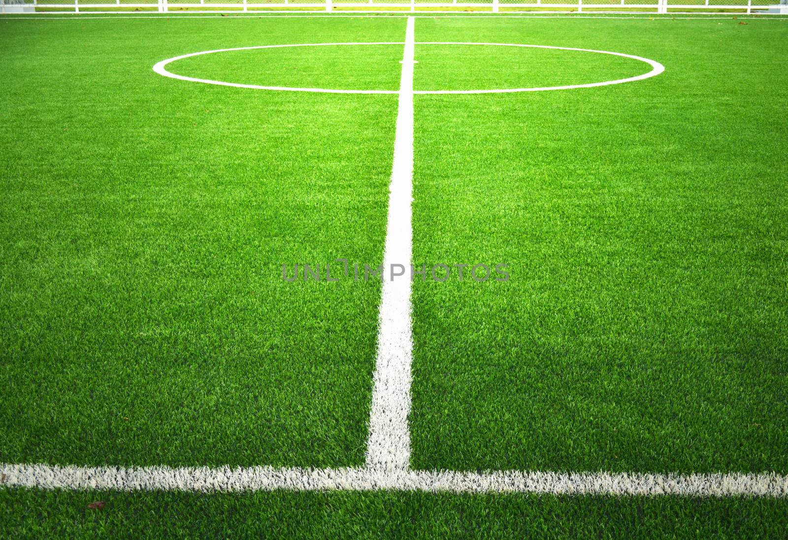 soccer field with green grass.