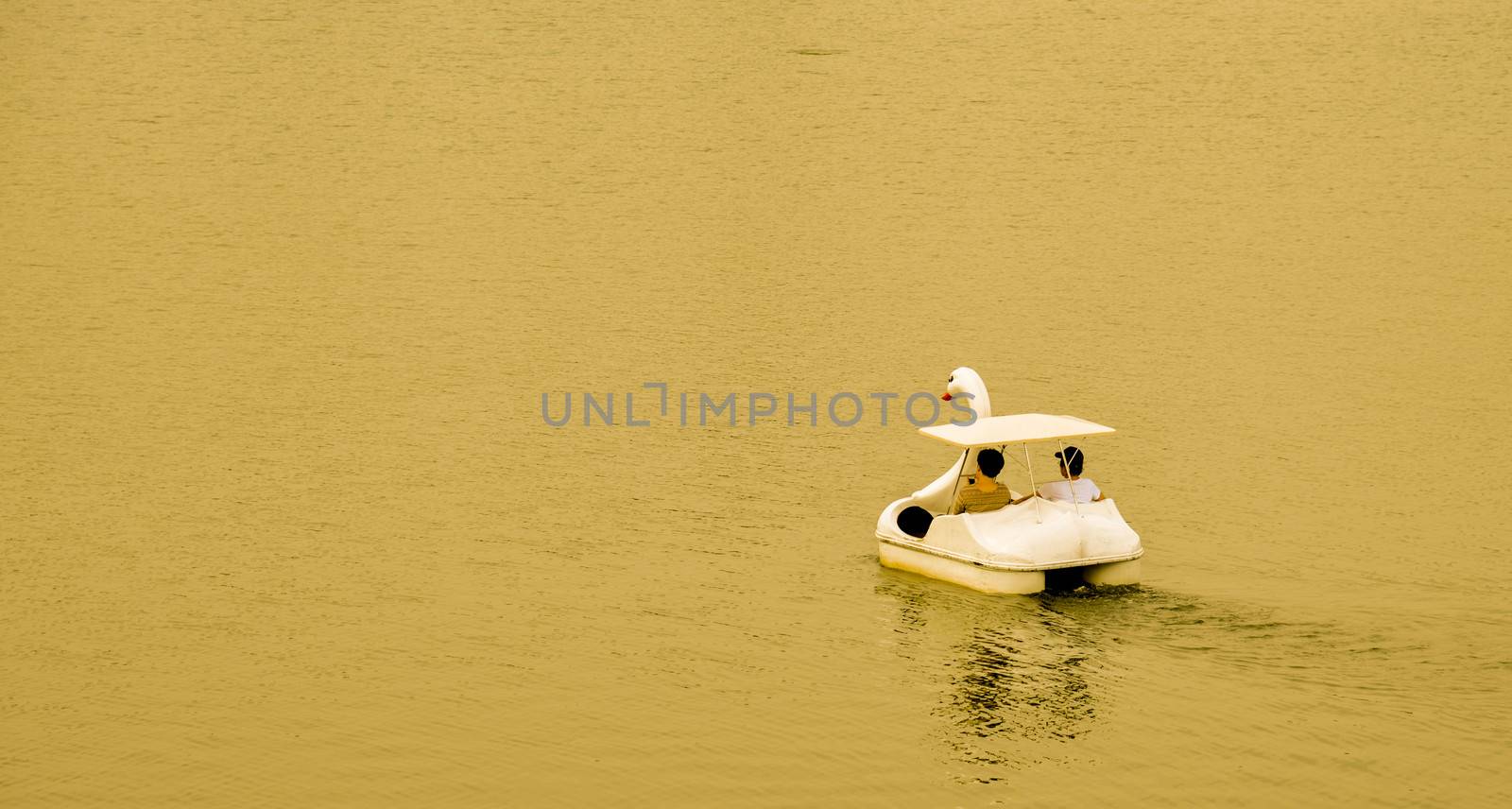 Swan watercycle in sunset by gjeerawut