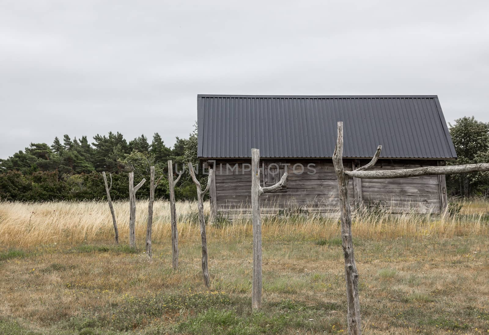 Old house in a fishing village on the island of Gotland, Sweden.