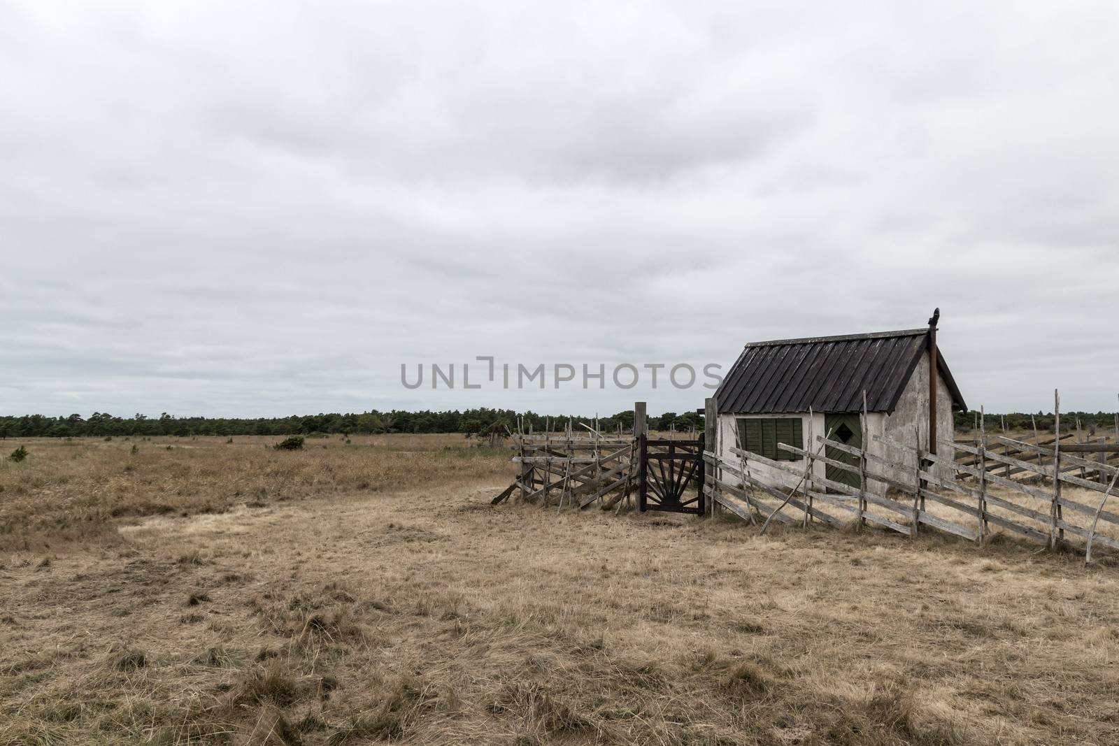 Old farm in the gloomy field. Island of Gotland, Sweden.