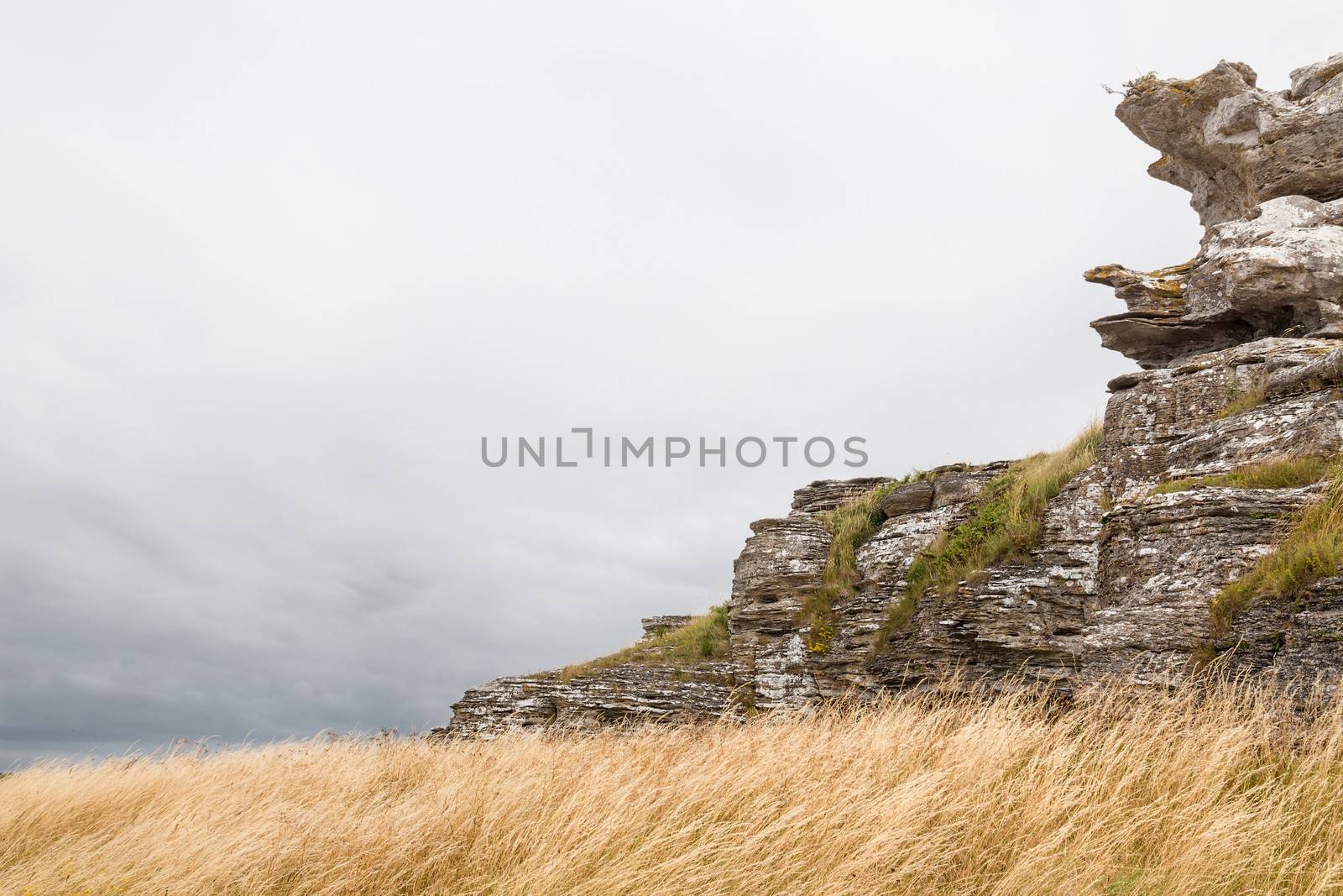 Limestone cliffs on the coastline of Gotland, Sweden. This particular one is called Hoburgsgubben.