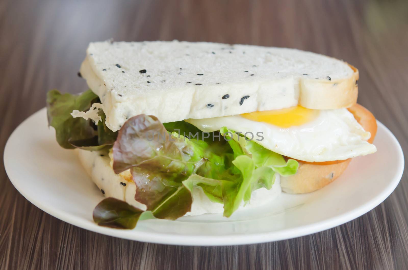 close up  sandwich with tomatoes , lettuce and fried egg on dish