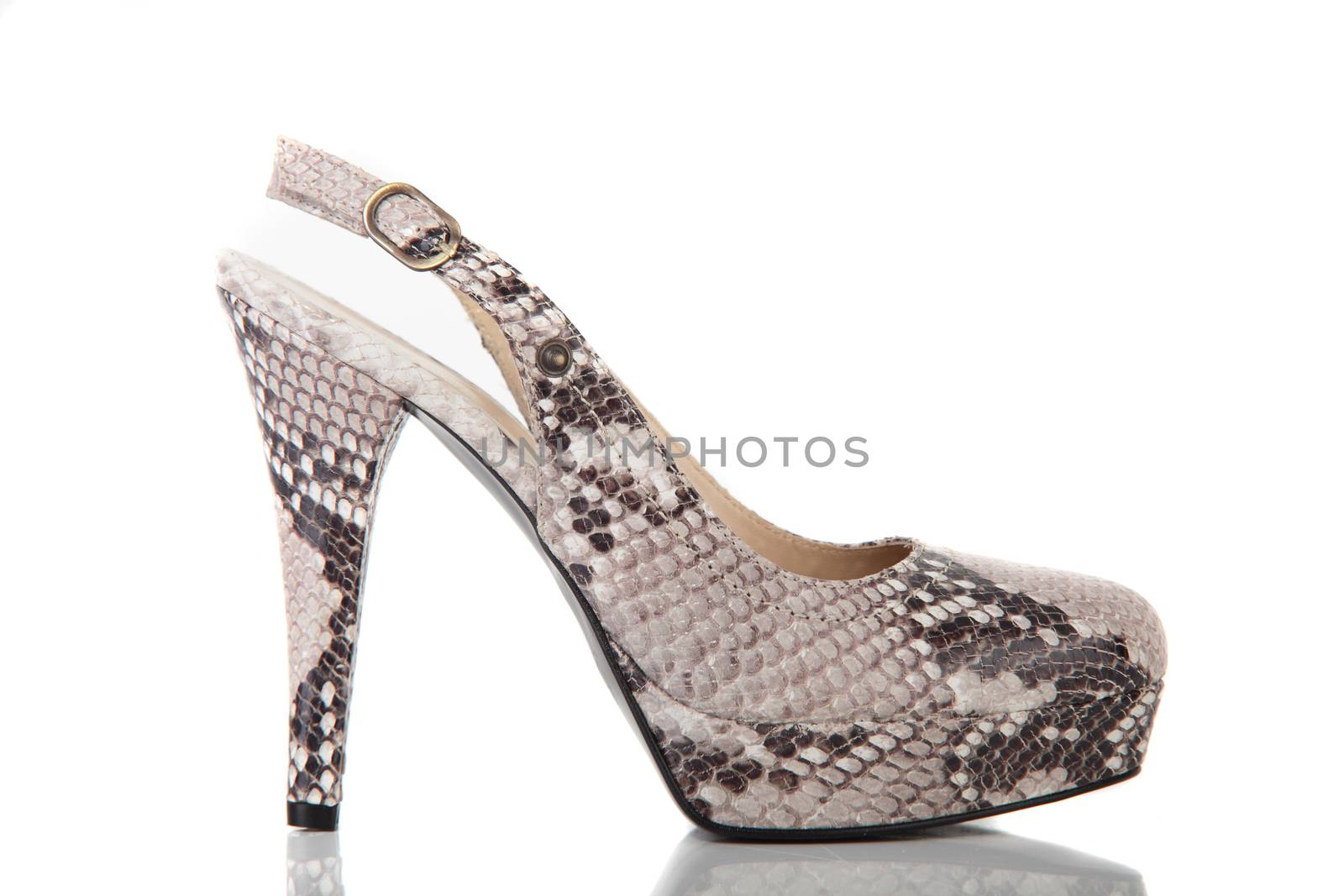 woman brand new shoe on white background