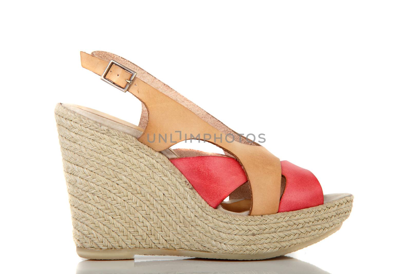 woman brand new shoe on white background