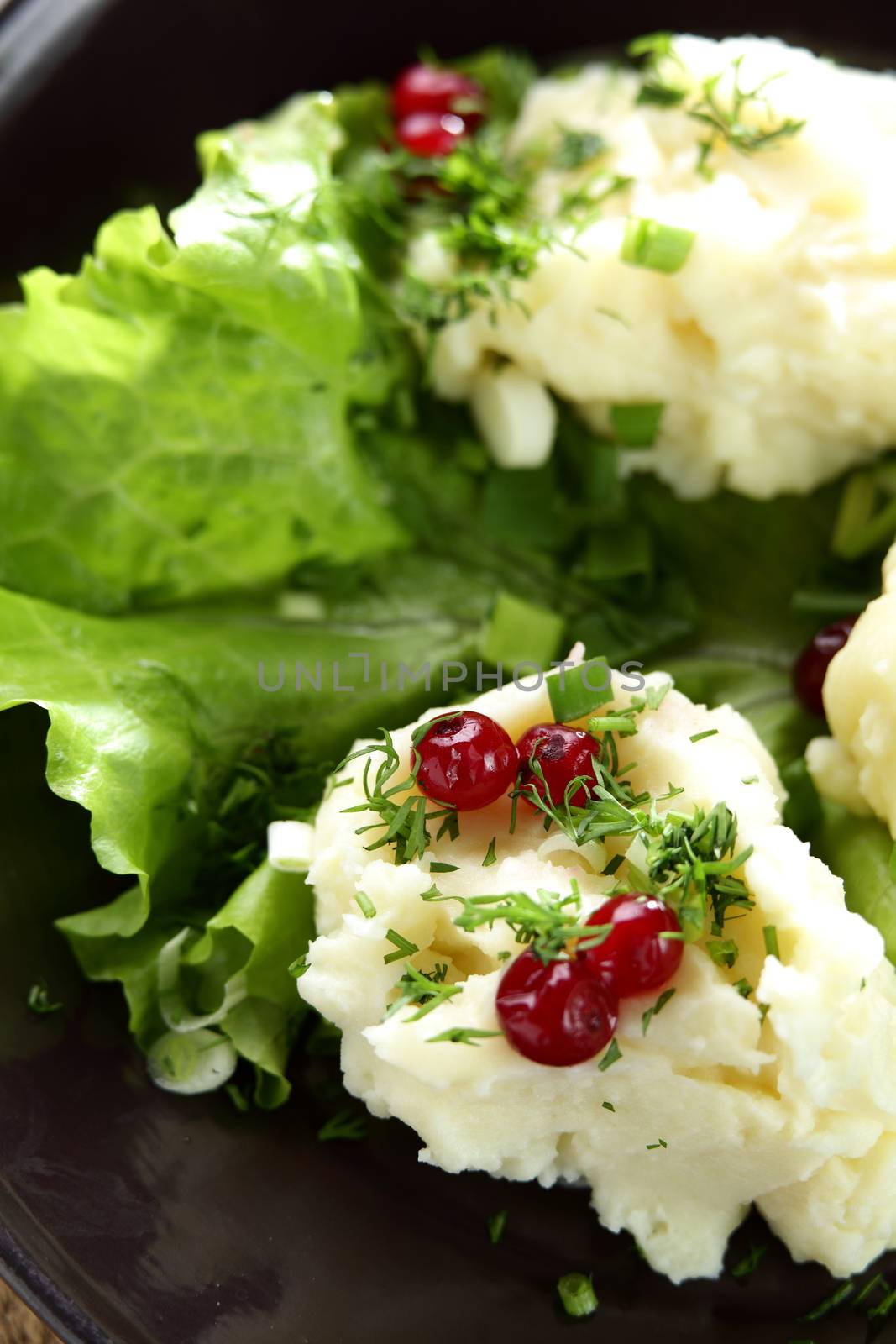 fresh and tasty salad by fiphoto