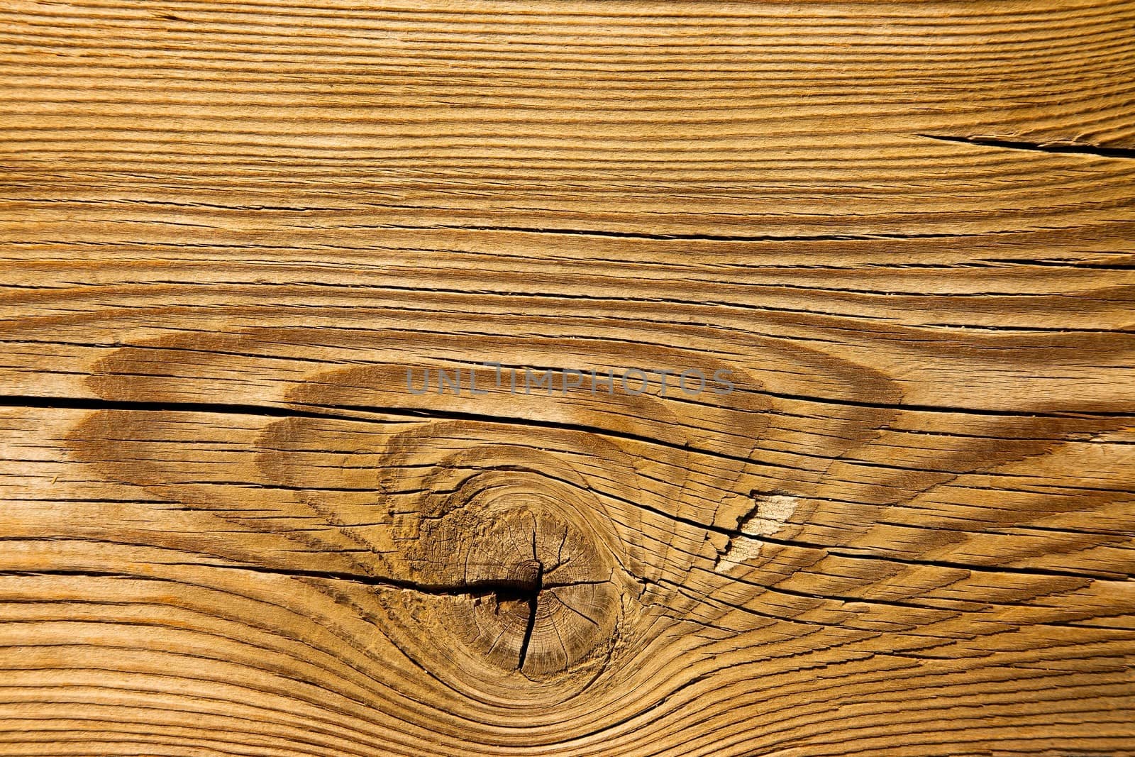 Wood background texture close up