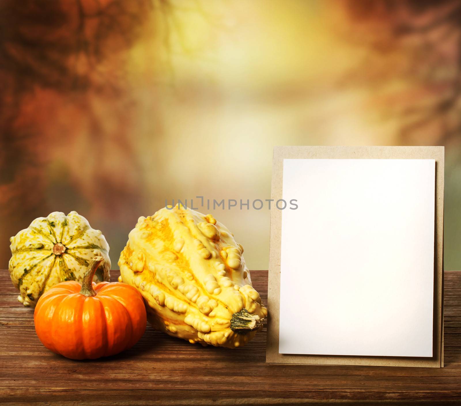 Squashes and greeting card  by melpomene