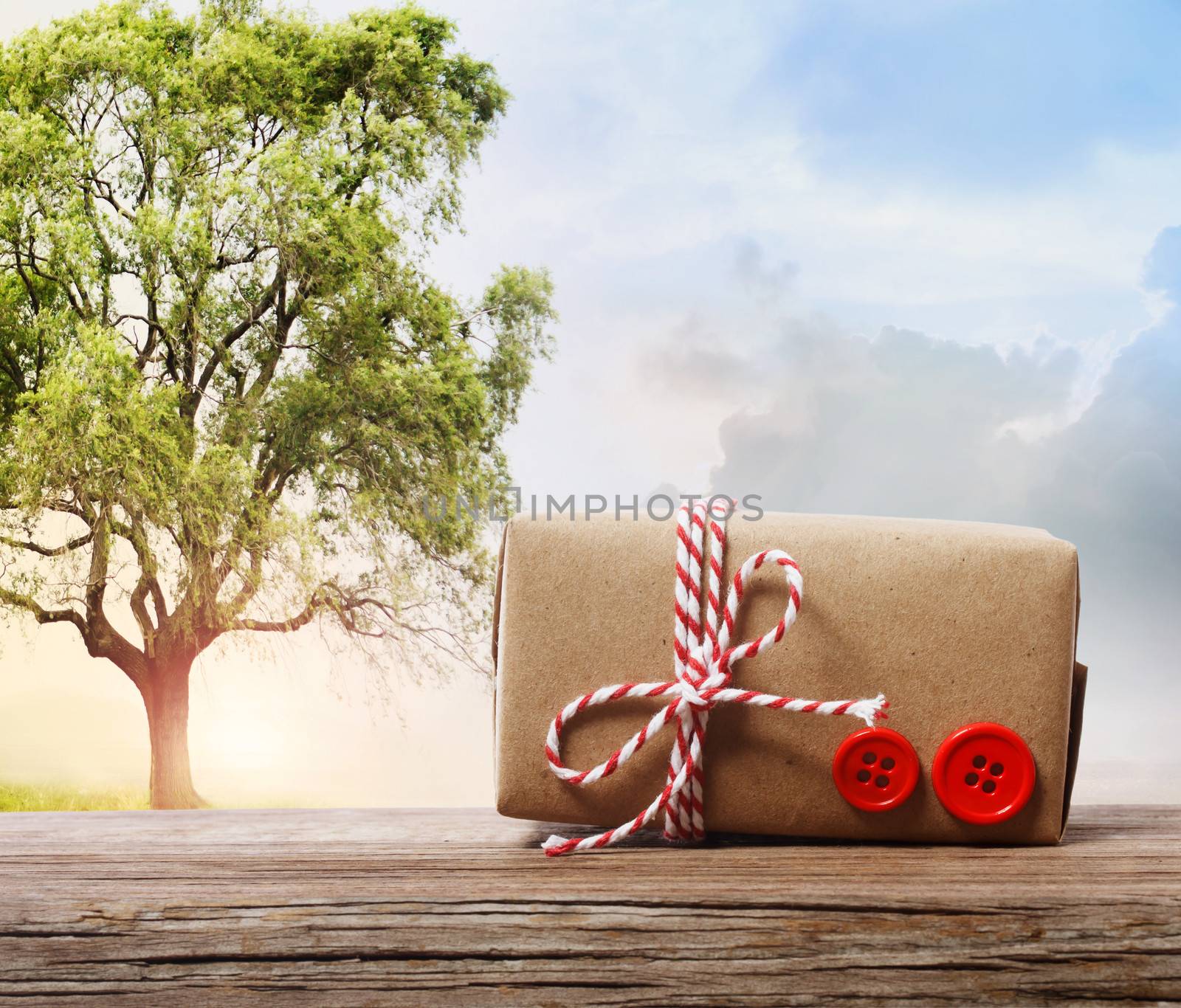 Handmade gift box on a fantasy landscape by melpomene