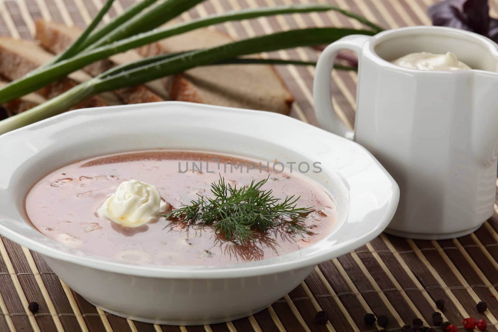 Cold and fresh soup with meat on the wooden table