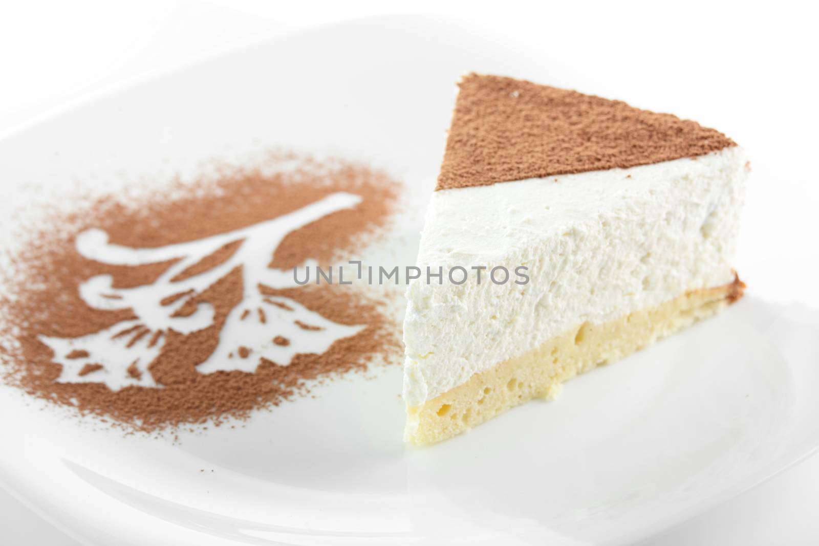 Peace of cake on white dish and white background