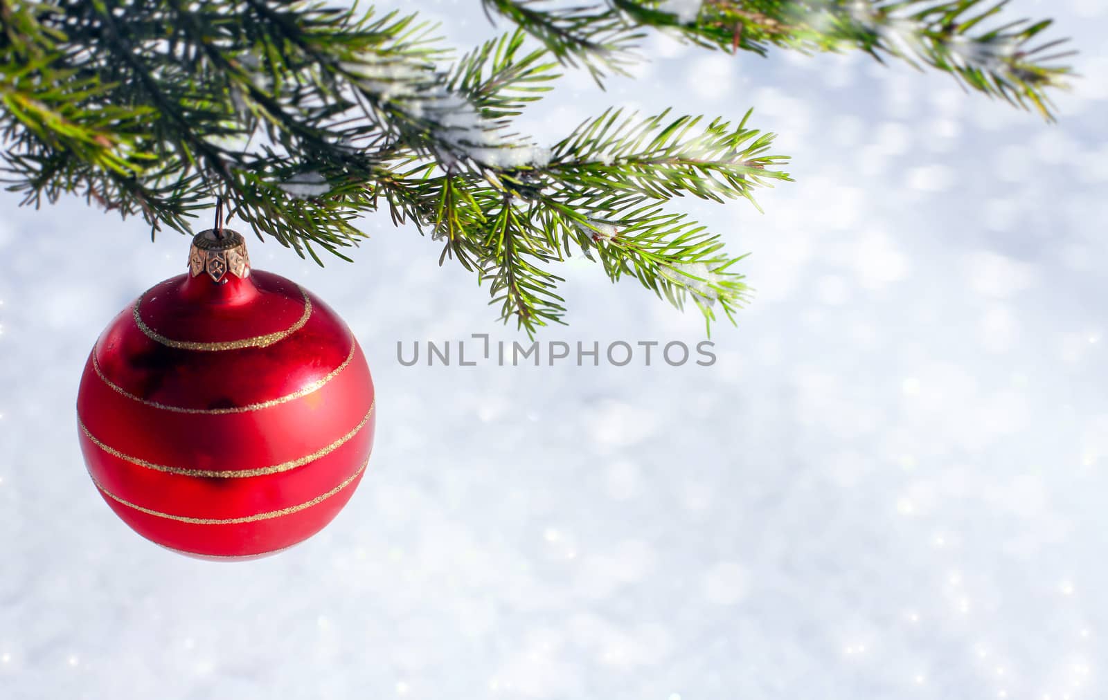 Christmas Decoration Red glass ball and Fir branches