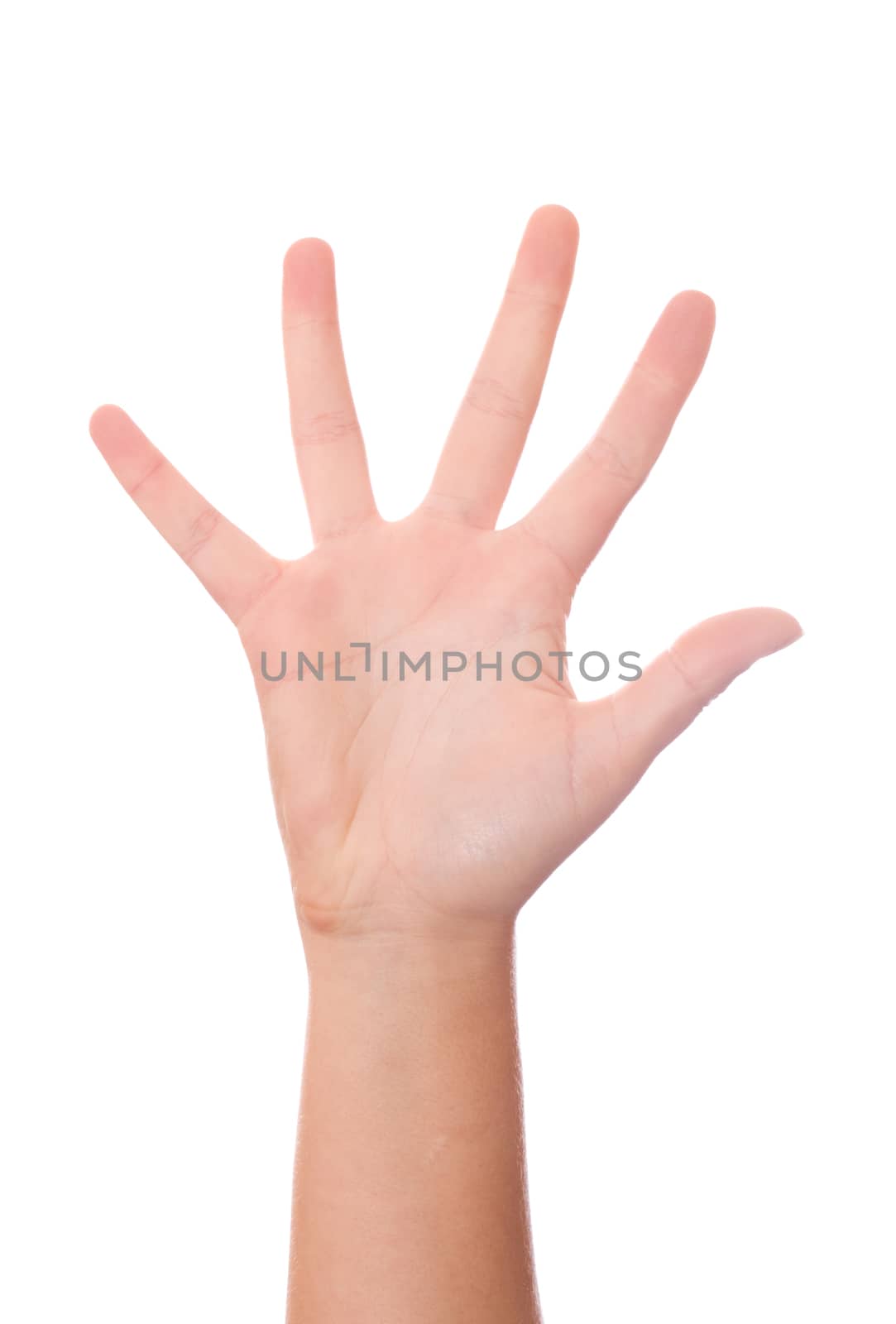 Female hand palm isolated on white background