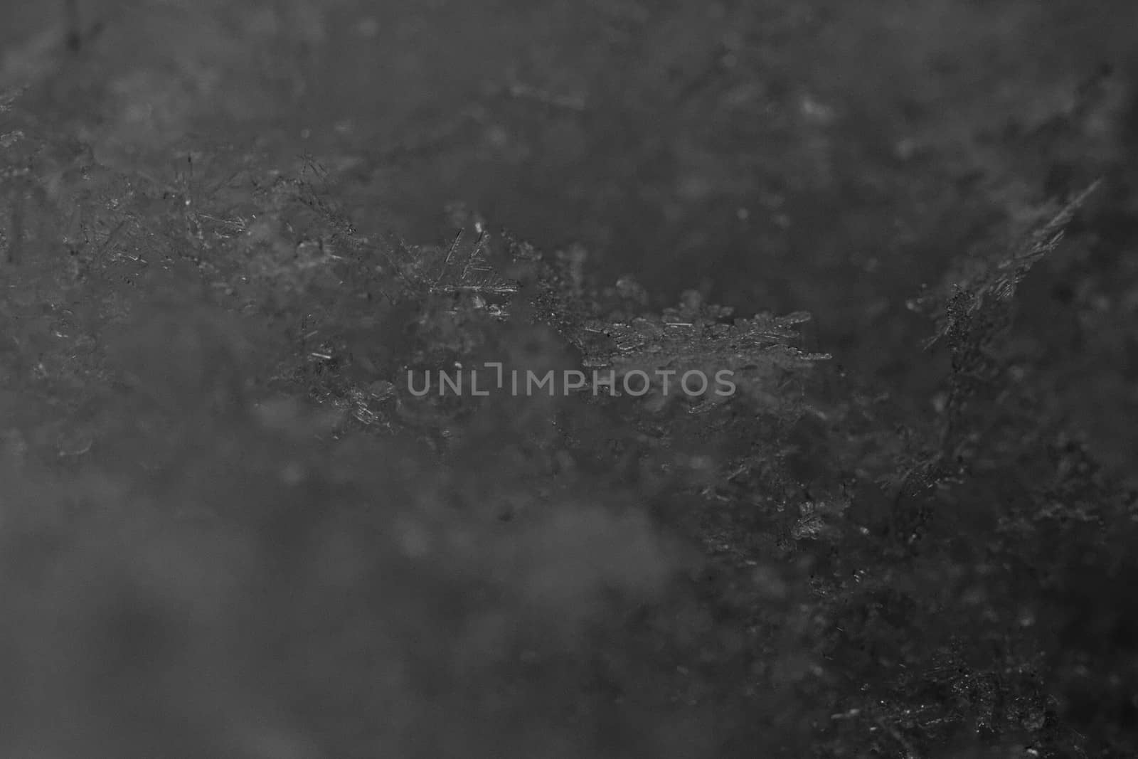 beauty white snowflake crystals on dark background